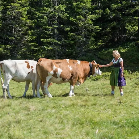 Almliesl Stjo-658 St. Johann im Pongau